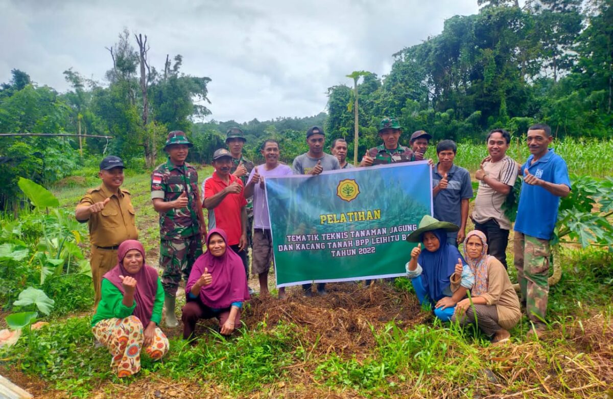 Kegiatan Pelatihan Tematik Teknis Penanaman Jagung dan Kacang di Negeri Wakasihu