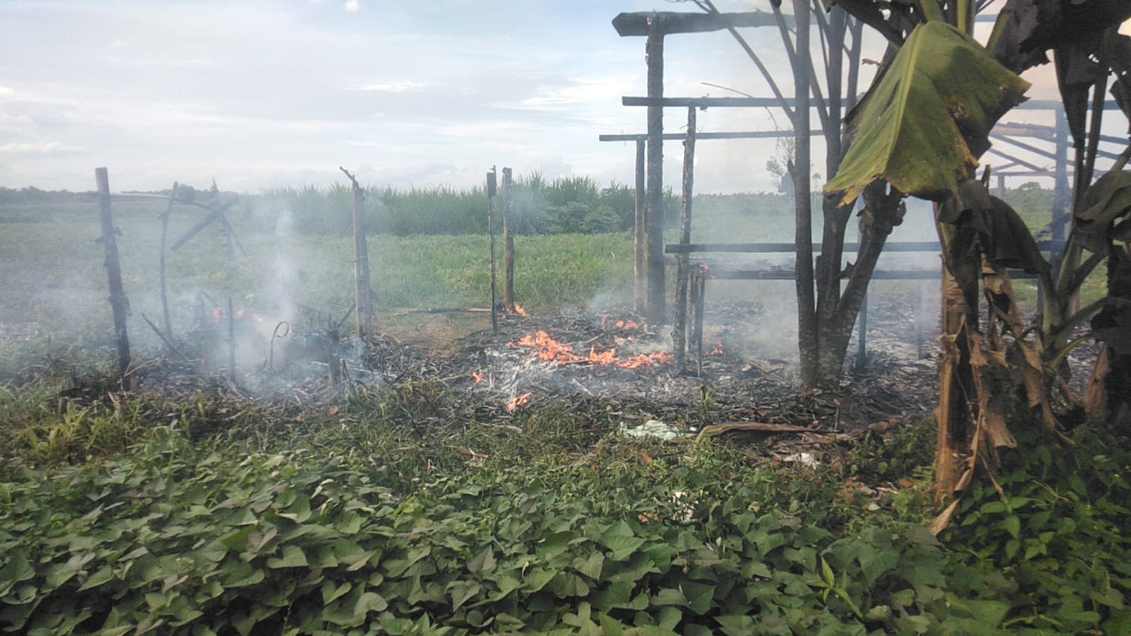 Gubuk petani di Kelurahan Bakti Karya Kec.Binjai selatan kembali di bakar OTK.