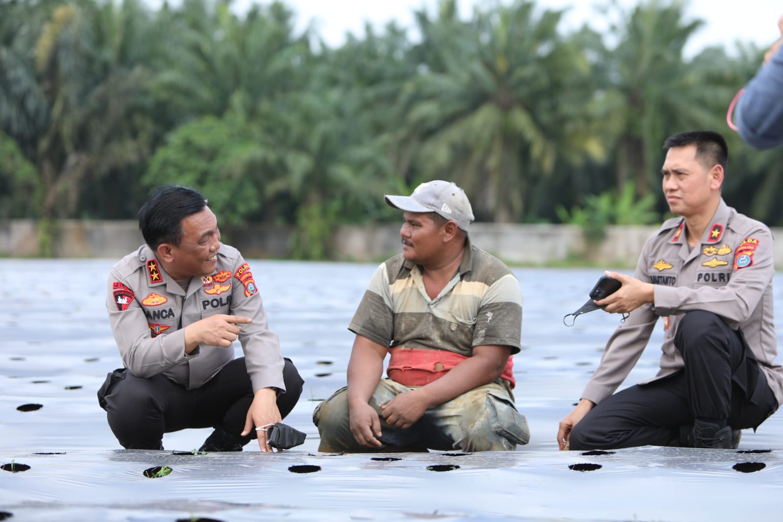 Manfaatkan Lahan Tidur, Kapolda Sumut Gagas Perkebunan Cabai dan Bawang