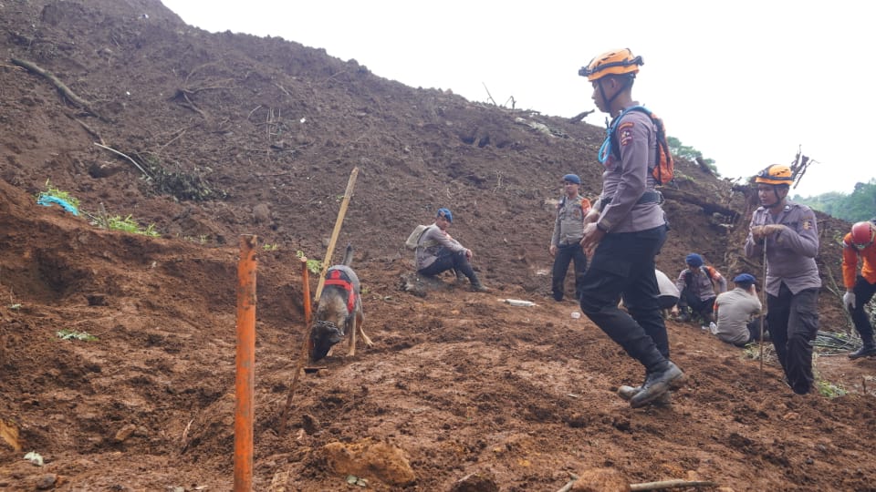 Satu Anjing Pelacak Dit Polsatwa Baharkam Polri Temukan Titik Diduga Korban Tertimbun Longsor Cianjur