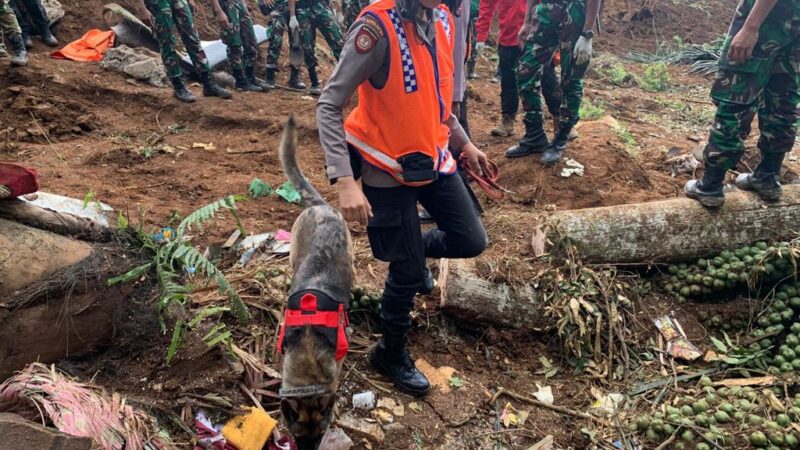 Tim K9 Polri Temukan Titik Korban Tertimbun Longsor di Cianjur