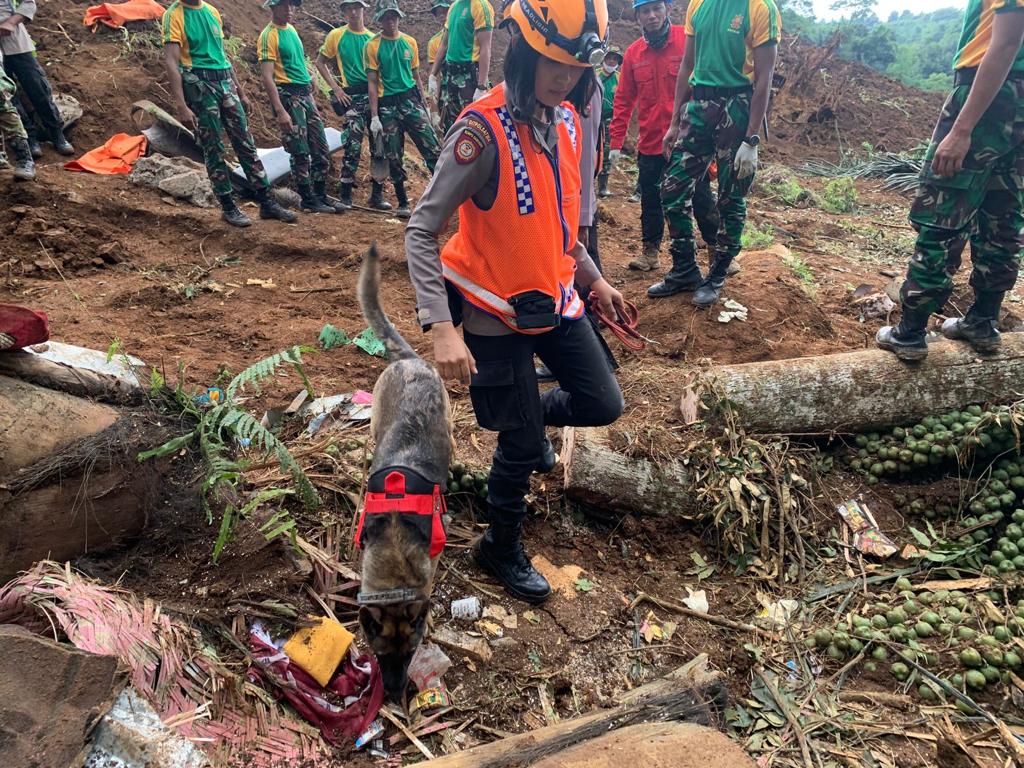 Tim K9 Polri Temukan Titik Korban Tertimbun Longsor di Cianjur