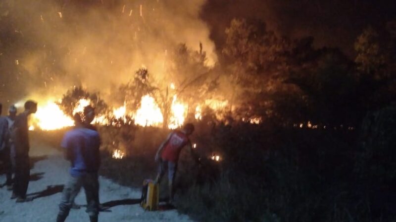 Kebun Sawit Terbakar di Dusun Paya Tundeh Gampong Rantau Panyang.