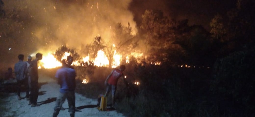 Kebun Sawit Terbakar di Dusun Paya Tundeh Gampong Rantau Panyang.