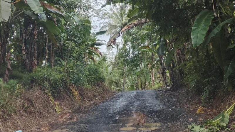 Jalan Desa Jalupang Girang Rusak Parah dan Lampu Penerangan tak ada, Pemkab Setempat Kemana