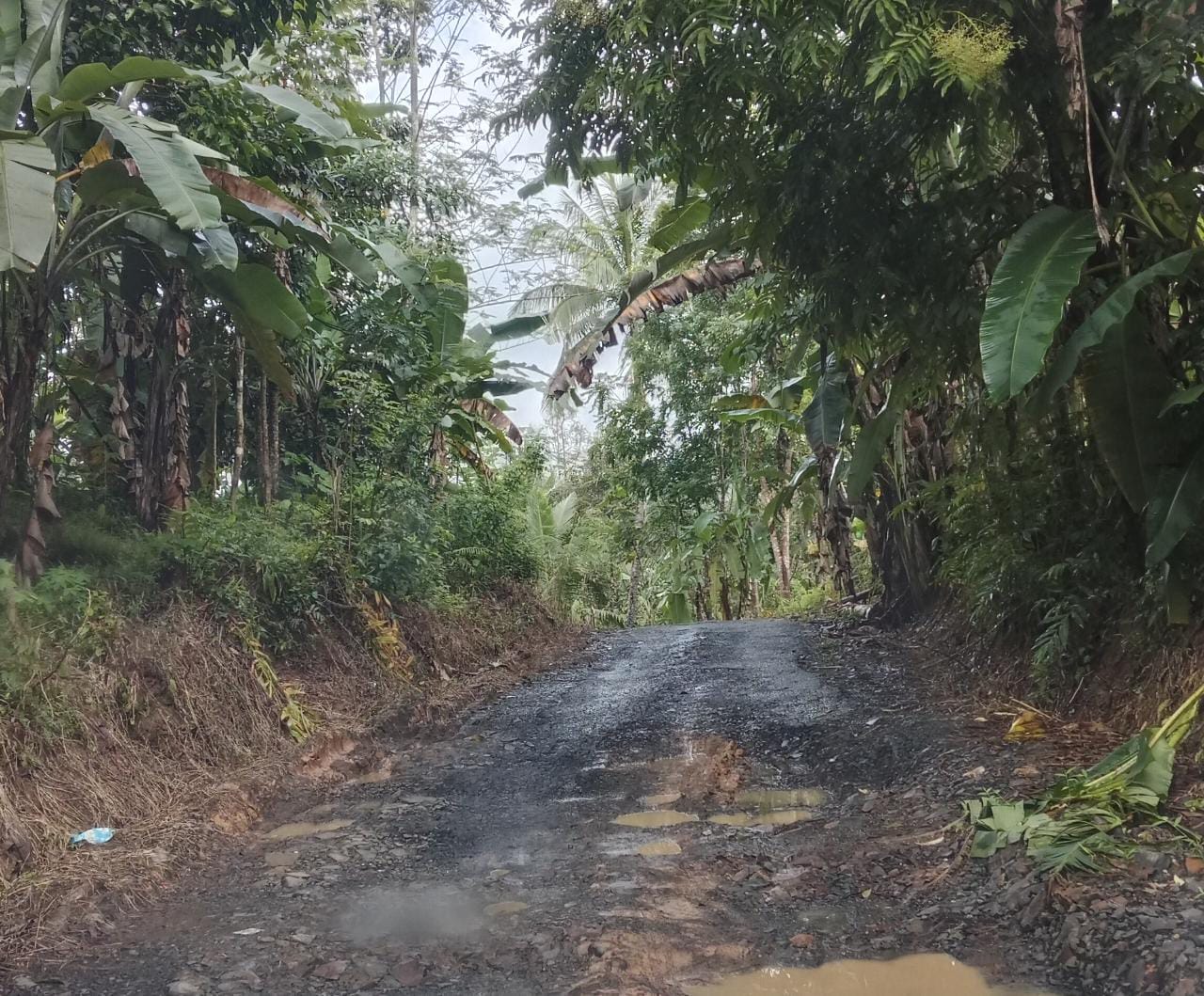 Jalan Desa Jalupang Girang Rusak Parah dan Lampu Penerangan tak ada, Pemkab Setempat Kemana