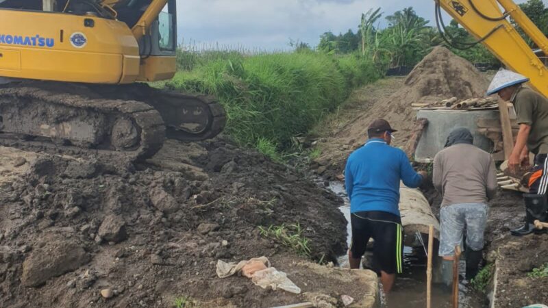 Luar Biasa Pemdes Cantuk Membangun Pembuatan Jalan Baru Yang Nantinya Bisa Jadi Jalan Alternatif 