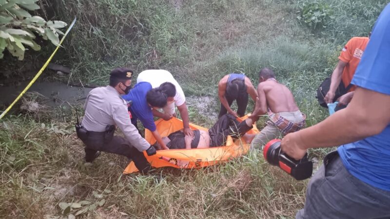 Kedapatan Nyolong Lembu, Dua Maling Tewas Dihajar Massa