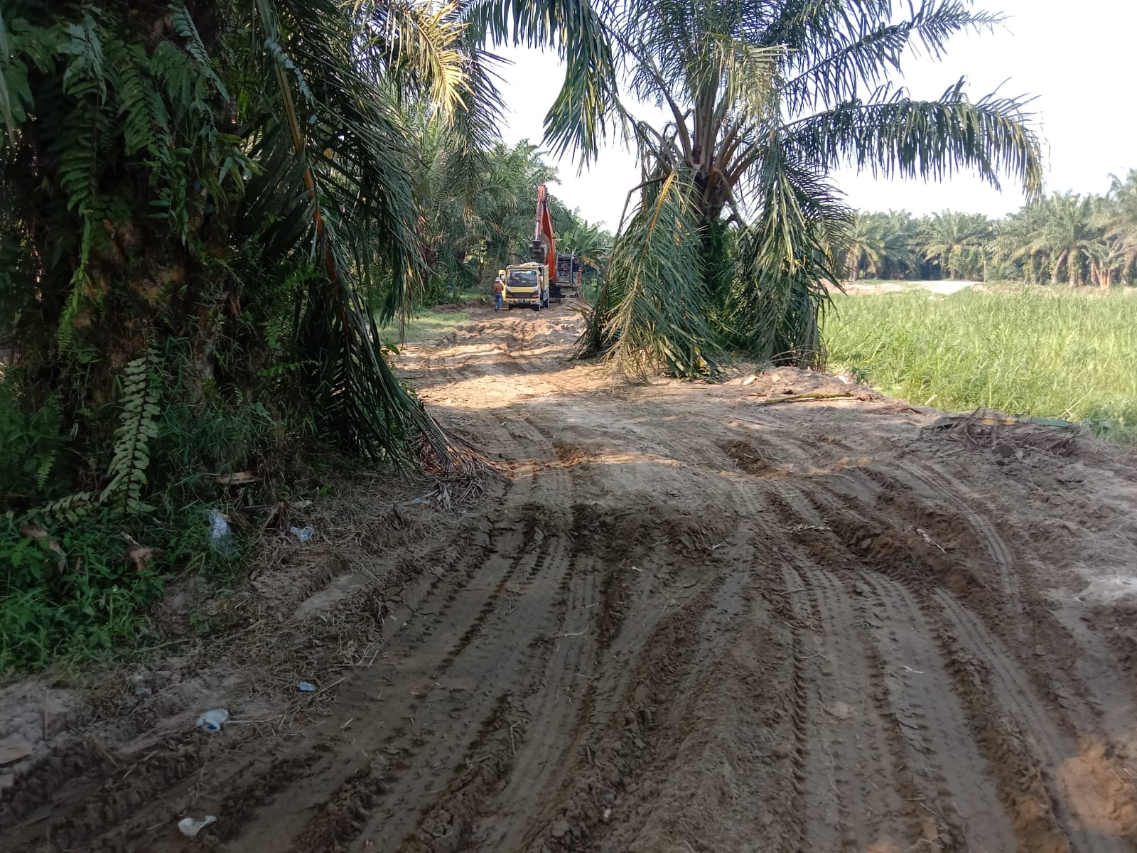 APH Diminta Tindak Mafia Galian C Ilegal di Binjai Bakung, Perjual Belikan Tanah Bantaran Sei Ular