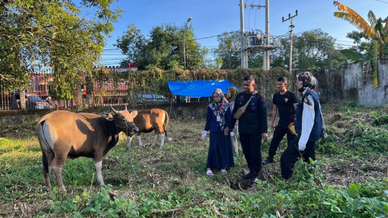 Jamin Hewan Kurban Sehat, Danyon Ichsan Datangkan Petugas Dinas Peternakan Periksa Hewan Kurban