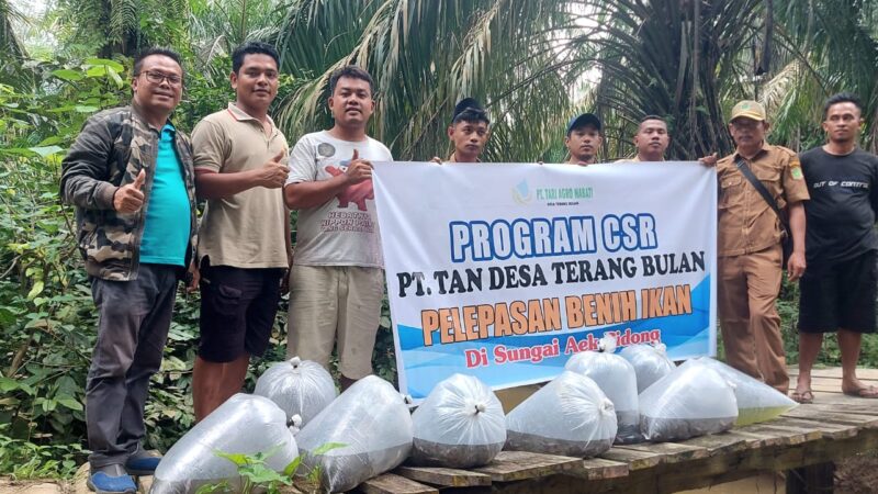 PT.TAN Salurkan CSR Tabur Ribuan Benih Ikan di Sungai Aek Pidong Labura