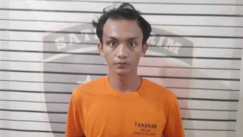 Maling Telur Ayam Ditangkap Polisi