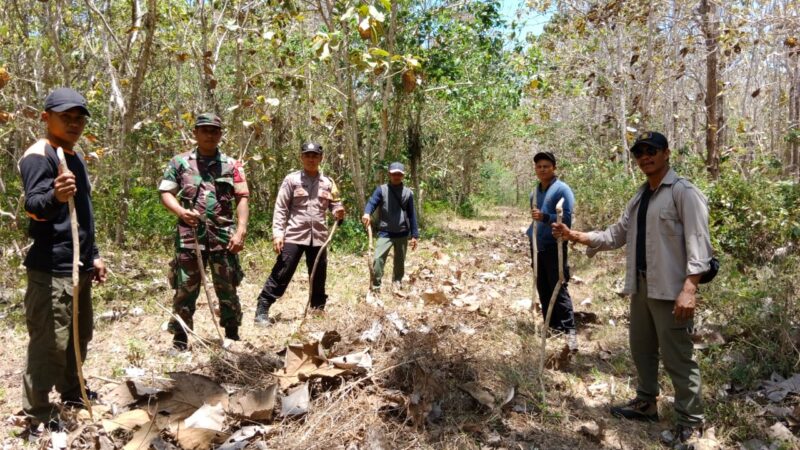 Sinergitas Polri, TNI dan Perhutani dalam Penanganan Karhutla di Banyuwangi