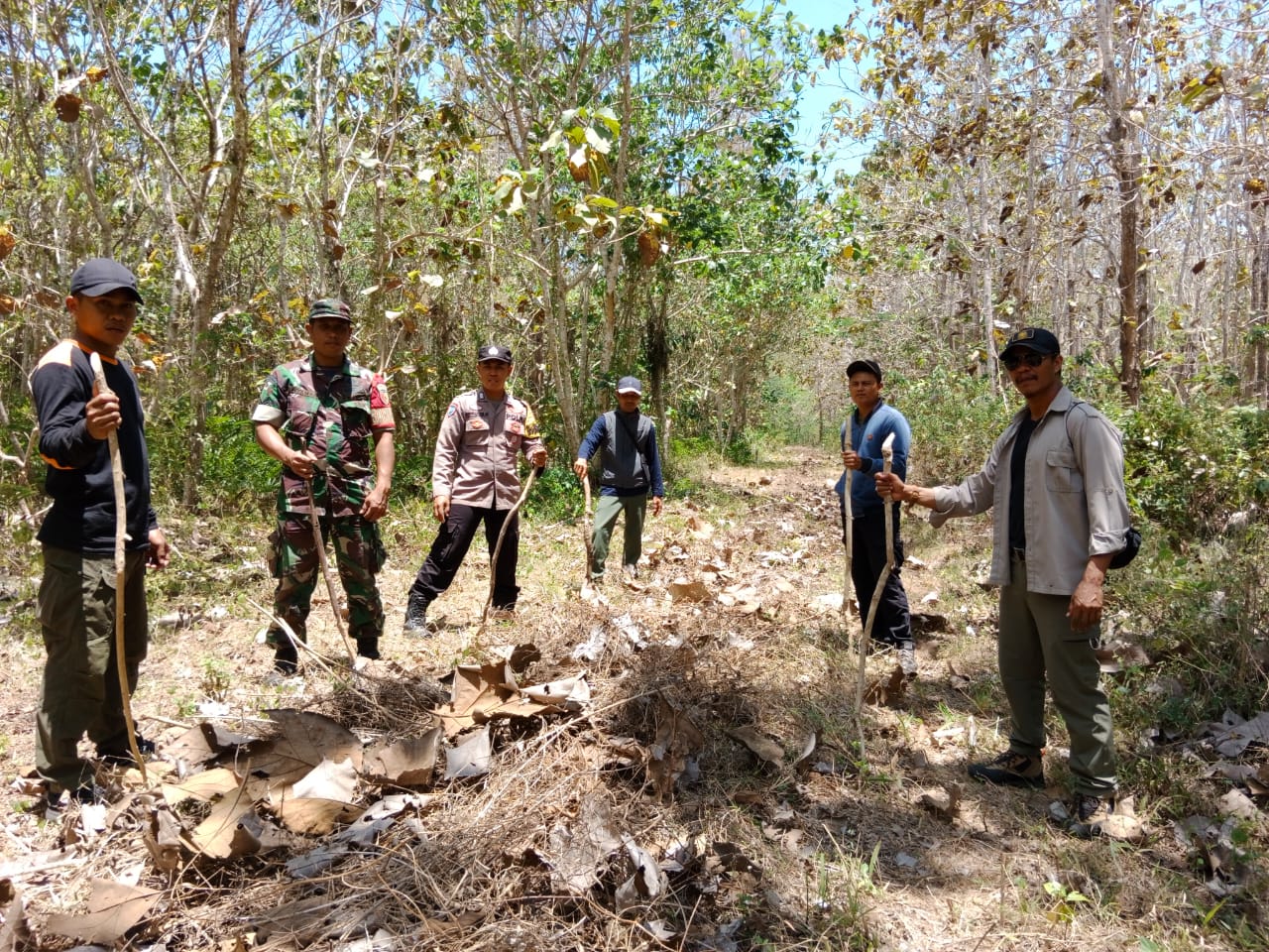 Sinergitas Polri, TNI dan Perhutani dalam Penanganan Karhutla di Banyuwangi