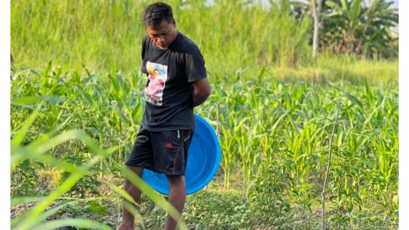 Tokoh Pemuda Sesalkam Lemahnya Inisiatif Pemerintah Banyuwangi Terhadap Bantuan Korban Bencana Angin Puting Beliung