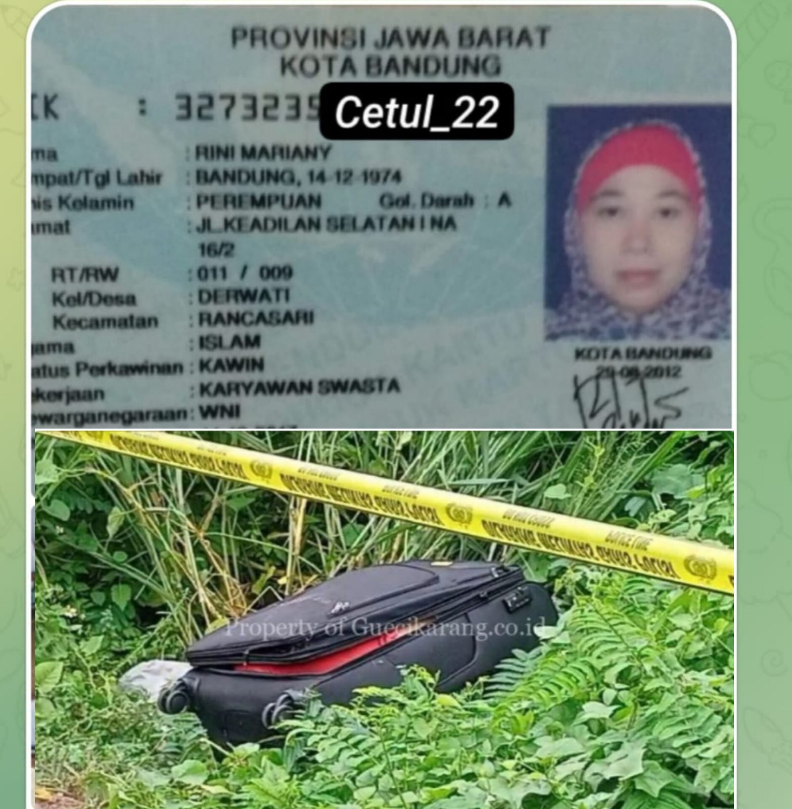 Polisi Berhasil Meringkus Pelaku Pembunuhan Wanita Paru Baya Dalam Koper Di Jalan Kali Malang Cikarang 