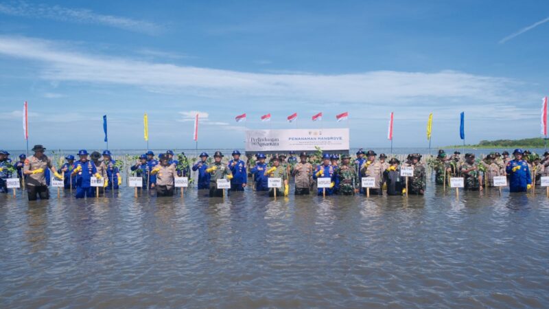 Pimpin Penanaman Pohon Mangrove Di Takalar, Kakorpolairud Baharkam Polri, Ajak Masyarakat Untuk Melestarikan