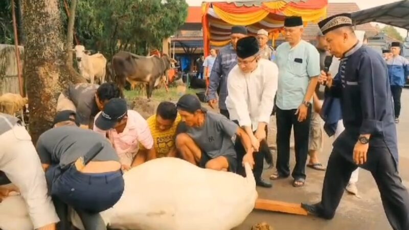 Kapolrestabes Melalui Plh Kasi Humas Polrestabes Medan Iptu Nizar Nasution Menyerahkan Daging Qurban dan Sembako Ke Warga