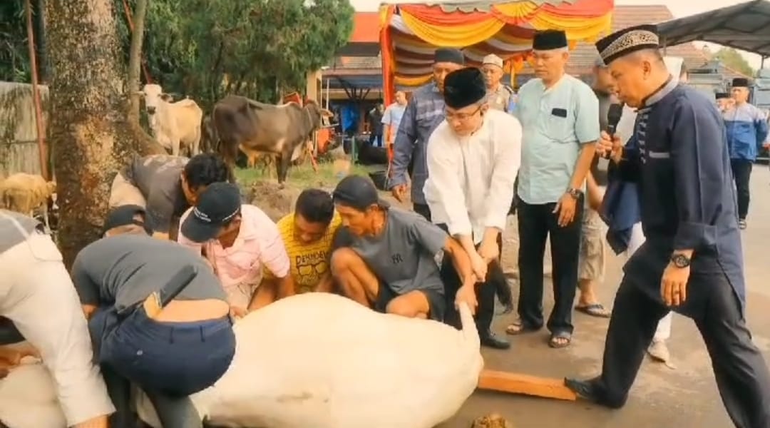 Kapolrestabes Melalui Plh Kasi Humas Polrestabes Medan Iptu Nizar Nasution Menyerahkan Daging Qurban dan Sembako Ke Warga