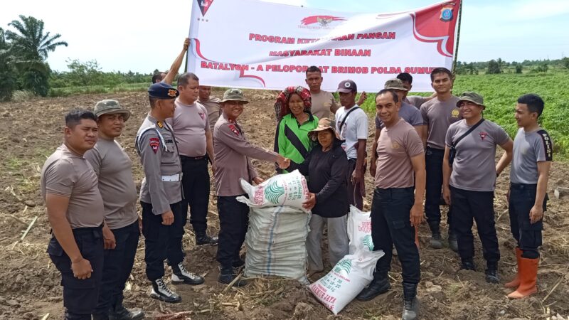 Batalyon A Pelopor Sat Brimob Polda Sumut Gelar Program Ketahanan Pangan di Desa Tunggurono