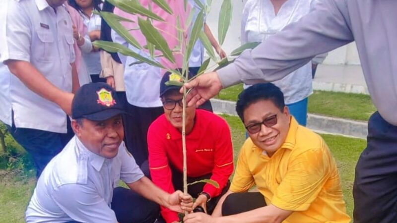 SMAN 2 Medan Gelar Penanaman Pohon Penghijauan