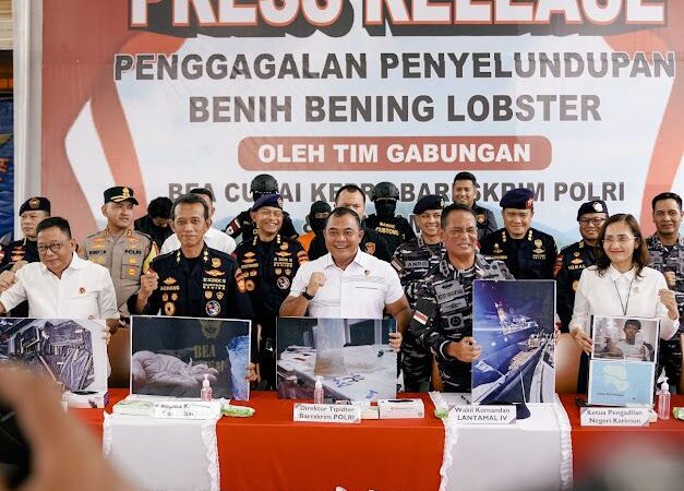 Bareskrim Polri : Gagalkan Penyelundupan 151 Ribu Benih Lobster di Perairan Bintan