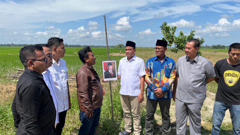 DPD Gerindra Sumut Respon Cepat: Peningkatan Swasembada Pangan di Kabupaten Langkat