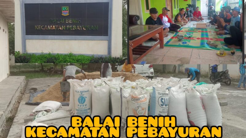 PETANI PENGELOLA LAHAN BALAI BENIH KECAMATAN PEBAYURAN MENGUNGKAPKAN KEKECEWAAN OLEH KEBIJAKAN UPTD.