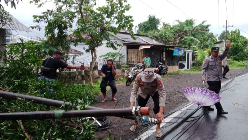 Polsek Singojuruh Bantu Warga Evakuasi Pohon dan Tiang Listrik Tumbang,Akibat Angin Puting Beliung