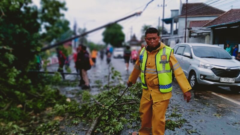Satlantas Polsek Rogojampi, Polresta Banyuwangi, Gerak Cepat Bantu Warga Evakuasi Pohon Tumbang 