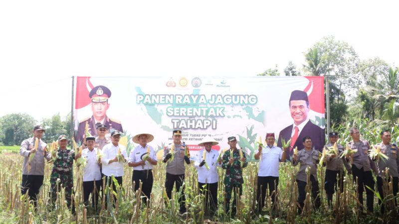 Polresta Banyuwangi Gelar Panen Jagung Serentak, Dukung Ketahanan Pangan Nasional