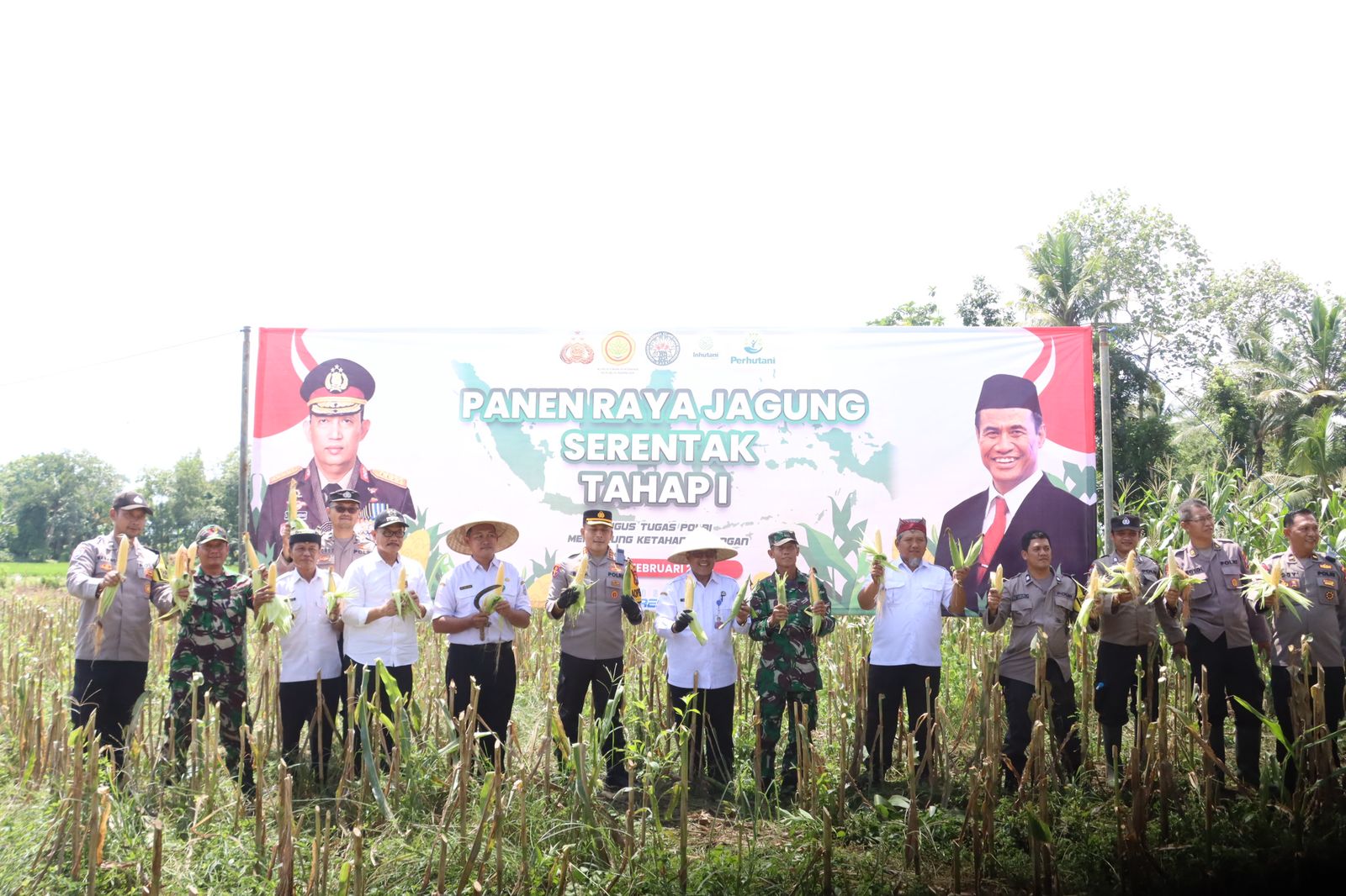 Polresta Banyuwangi Gelar Panen Jagung Serentak, Dukung Ketahanan Pangan Nasional