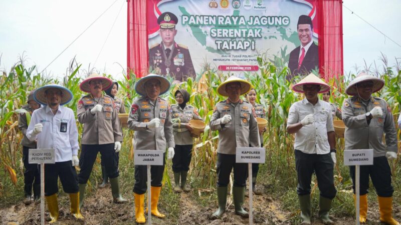 Wakapolda Jabar Panen Raya Jagung di Sumedang, Dukung Swasembada Pangan 2025