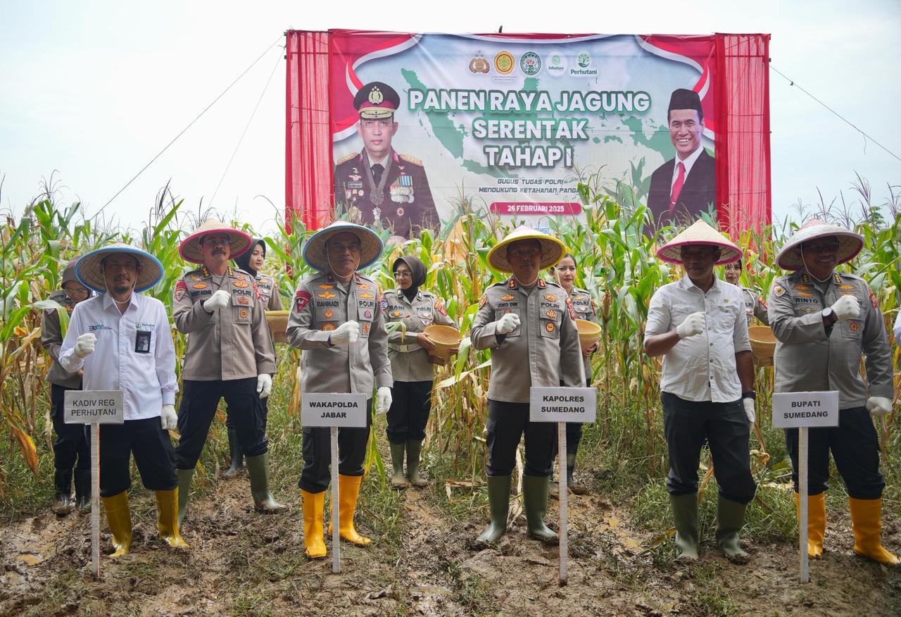 Wakapolda Jabar Panen Raya Jagung di Sumedang, Dukung Swasembada Pangan 2025