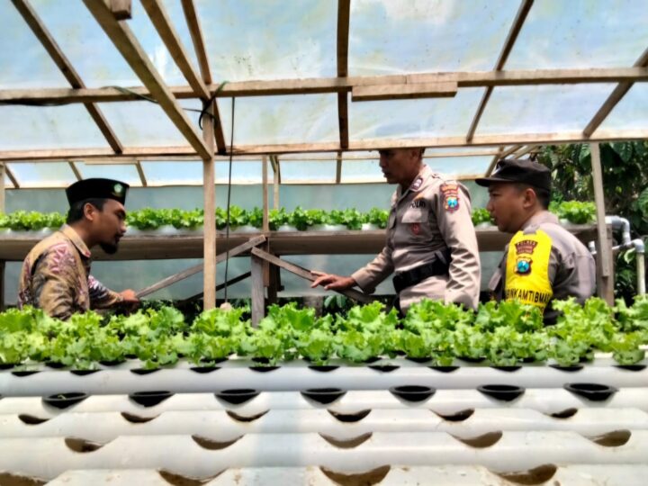 Dukung Asta Cita Presiden,Polsek Kalipuro,Polres Banyuwangi dan Pemdes Galakkan Pemanfaatan Pekarangan untuk Ketahanan Pangan