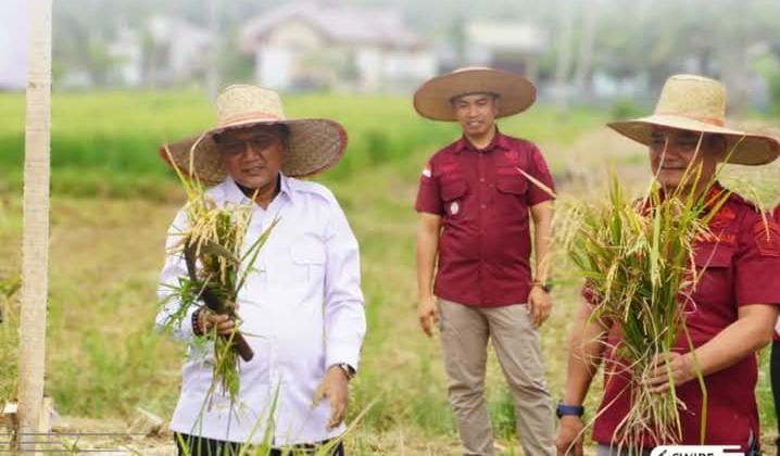 Kakanwil Ditjenpas Sumut Yudi Suseno Ikut Panen Raya di Lapas Narkotika Langkat, Dukung Ketahanan Pangan Nasional