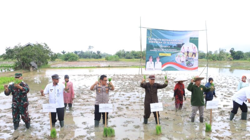 Gerakan Tanam Padi Serentak Bersama Presiden Prabowo Subianto Secara Daring di Kabupaten HSU