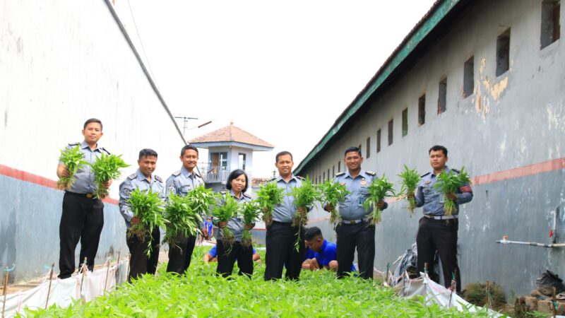 Manfaatkan Lahan Terbatas Untuk Program Ketahanan Pangan, Lapas Kelas II A Banyuwangi  Berhasil Panen Kangkung bersama WBP 