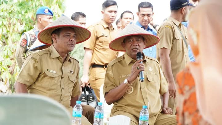 Bupati Syah Afandin Dorong Kemandirian Benih Padi di Langkat, Panen Inpari 33 Sukses