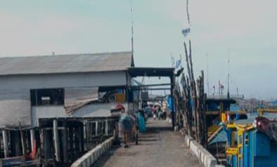 Tangkahan Ikan Diduga Dijadikan Tempat Bongkar Muat BBM Ilegal