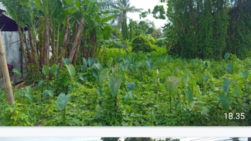 FKSM Minta Jaksa Periksa Pengadaan Tanah UPT Dinas Damkar dan Penyelamatan Kota Medan Senilai 2,6 Miliar di Medan Marelan