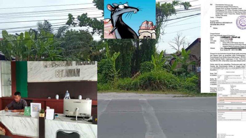 Dugaan Mark Up Pengadaan Tanah UPT Damkar Medan 2,6 Miliar Masuk Babak Baru, Ketua DPK KNPI Medan Marelan Ajukan Jadi Whisterblower  