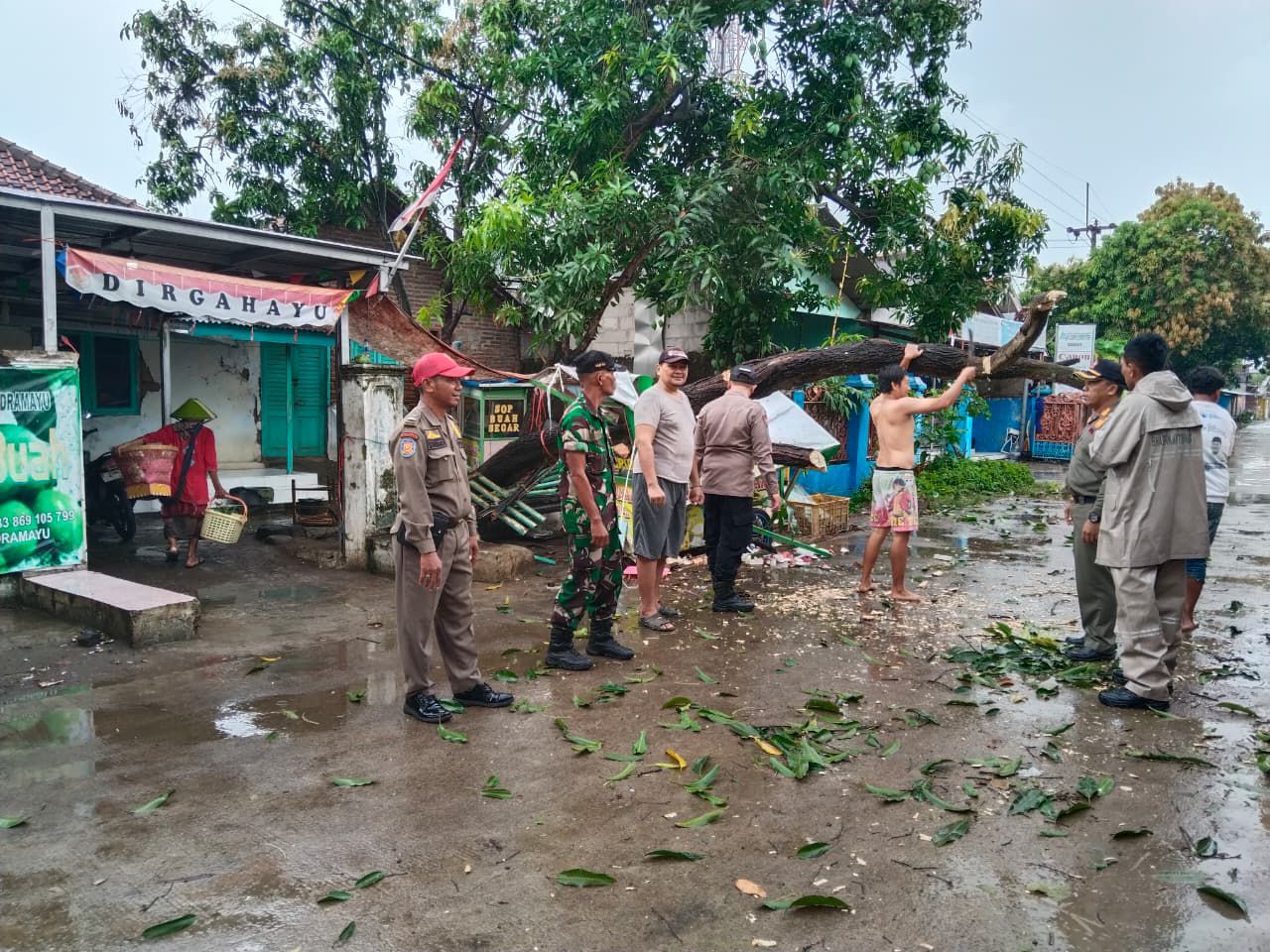 Respons Cepat Polisi dan Petugas Gabungan Evakuasi Pohon Tumbang di Jalan Raya Sliyeg Indramayu