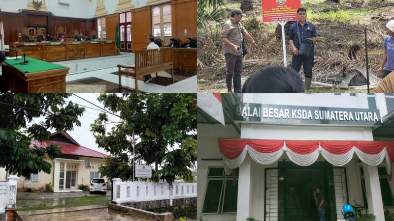FKSM Sumut : Usut Dugaan Bocor 130 Miliar Lebih Atas Pemanenan 210 Ha Kebun Sawit Sitaan Kejati Sumut, BKSDA Sumut Ngaku Tak Pernah Lapor APH