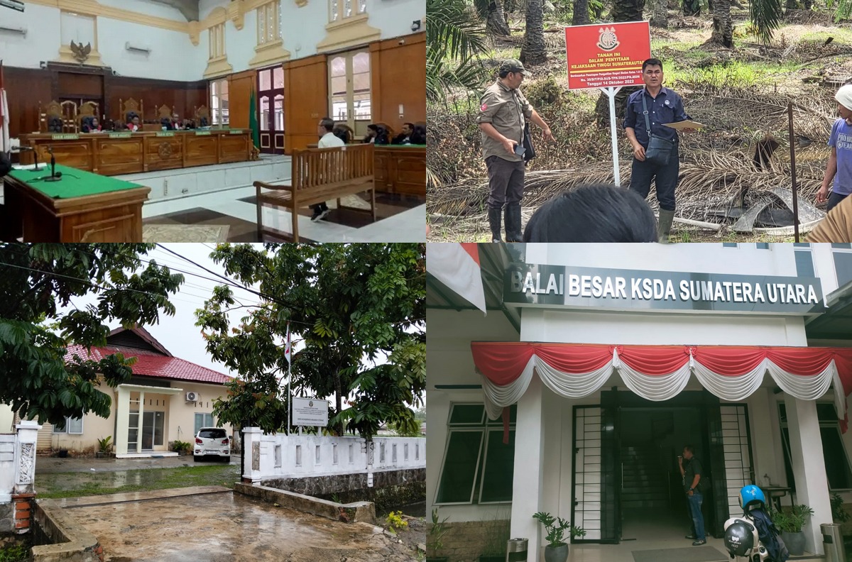 FKSM Sumut : Usut Dugaan Bocor 130 Miliar Lebih Atas Pemanenan 210 Ha Kebun Sawit Sitaan Kejati Sumut, BKSDA Sumut Ngaku Tak Pernah Lapor APH