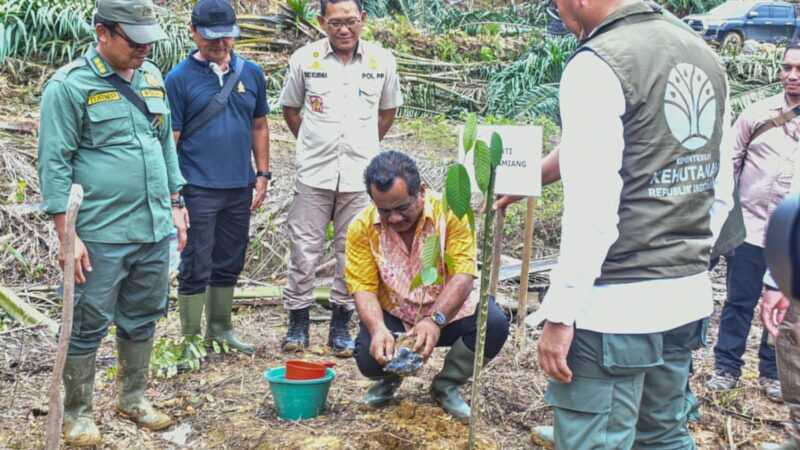Wakil Bupati Aceh Tamiang: Fungsi dan Kawasan Hutan Leuser Harus Kita Kembalikan 