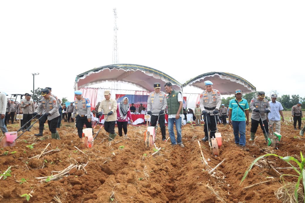 Perkuat Ketahanan Pangan,Polda Kalsel Gelar Penanaman Jagung Tahap II,di Lahan Binaan Bidpropam