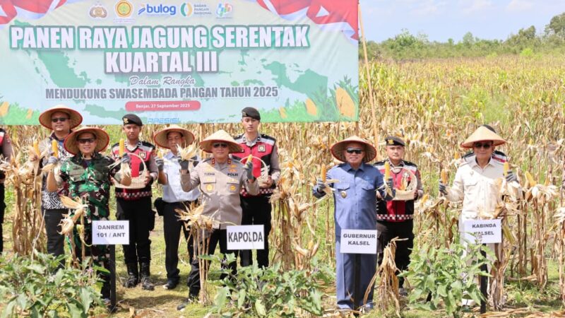 Polda Kalsel Panen 1.000 Ton Jagung dari Lahan Gambut Sei Tabuk
