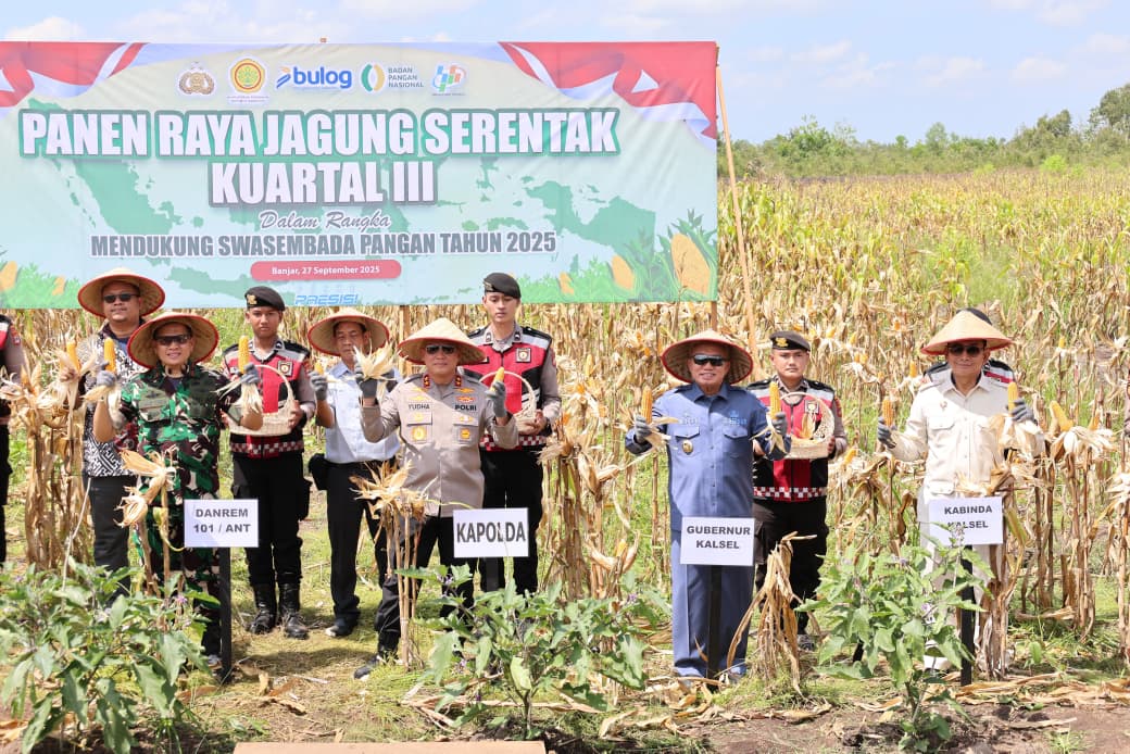 Polda Kalsel Panen 1.000 Ton Jagung dari Lahan Gambut Sei Tabuk
