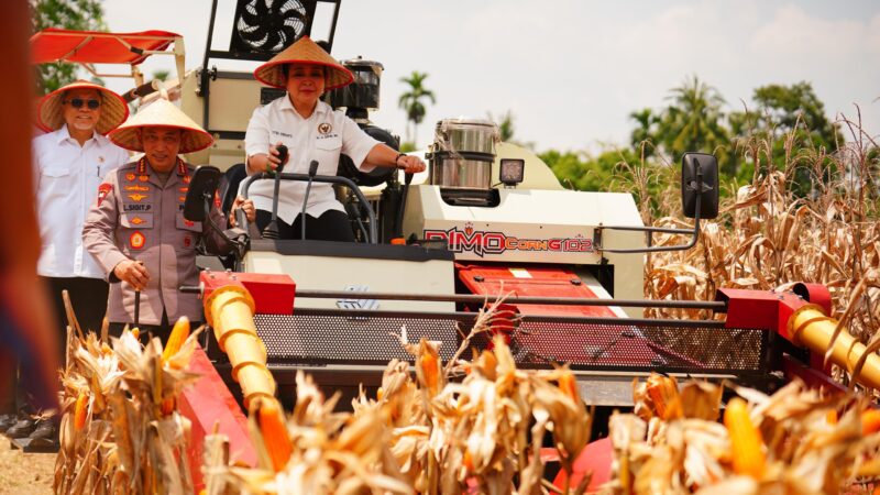 Kapolri Pimpin Panen Raya Jagung, Tegaskan Komitmen Indonesia Lumbung Pangan Dunia